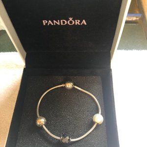 Pandora Bracelet and spacer charms